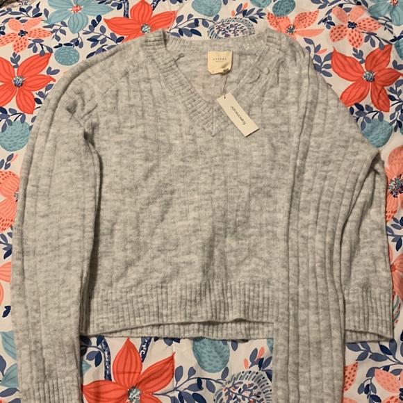 Francesca's Collections Sweaters - Gray V-Neck Sweater